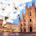 Lotta anti-zanzare parzialmente sospesa a Milano