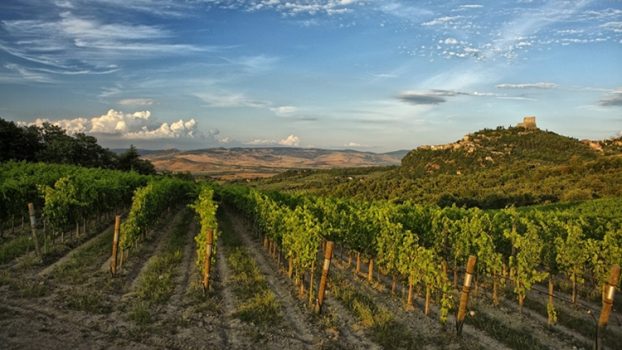 Il blocco del turismo mette in ginocchio il vino
