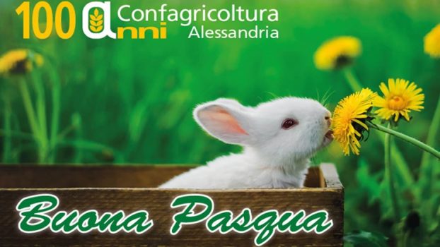 Confagricoltura: “Meno burocrazia e tempi brevi per le erogazioni alle imprese”