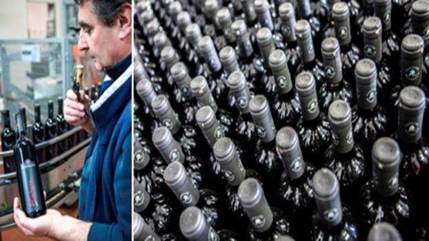 Tremila bottiglie vendute in sei ore: l’e-commerce rivoluziona la vita di una piccola cantina lombarda