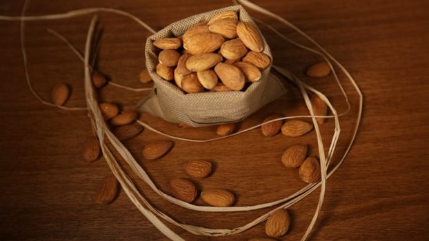 Tutto sulle armelline, i semi di albicocca