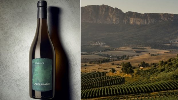 Salealto, il nuovo cru di Tenuta Ficuzza