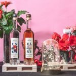 Distellerie Berta per l'ambiente per l'ambiente, si riparte dalla natura