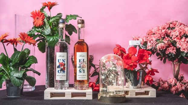 Distellerie Berta per l’ambiente per l’ambiente, si riparte dalla natura