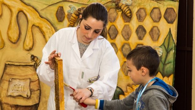 Fattoria didattica online: l’idea dell’abruzzese Apicoltura Luca Finocchio – Tornareccio (Ch)