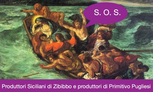 ZIBIBBO E PRIMITIVO SULLA STESSA BARCA… vignaioli in guerra contro Regione Siciliana
