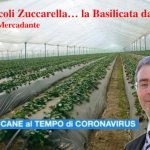 Ortofrutticoli  Zuccarella di Scanzano Jonico nella piana di Metaponto in Basilicata