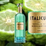 Italicus, rosolio di bergamotto e Art of Italicus 2020, Creative Talent