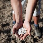 Slow Food lancia un nuovo Presidio: il fagiolo della regina di Gorga