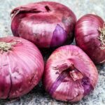 n Lomellina una cipolla da record: la rossa di Breme