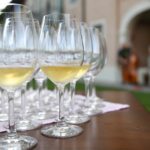 Il Consorzio Tutela Vini Collio riduce del 20% tutte le rese dei vitigni disciplinati dalla Doc Collio