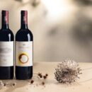 12° edizione di Ornellaia Vendemmia d’Artista, Sotheby’s batte all’asta le bottiglie d’arte firmate da Tomás Saraceno 