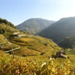 Cembra Cantina di Montagna: vini che nascono nel ventre delle vette trentine