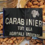 Mandorle Bio sequestrate: 98 tonnellate e solo 1500 euro di multa... andranno all'asta?