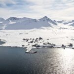 Allarme alimentazione: trovati crostacei contaminati da microplastiche nel Mar Artico