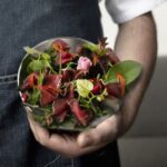 Friuli Venezia Giulia.  La Nuova Cucina ... Via dei Sapori