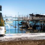 ABRUZZO PECORINO non è un Ovino ma un ottimo VINO