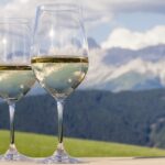 Inizia la vendemmia in Alto Adige: uve di qualità e regole ferree per il rispetto delle norme anti-Covid