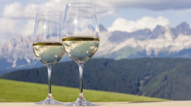 Inizia la vendemmia in Alto Adige: uve di qualità e regole ferree per il rispetto delle norme anti-Covid