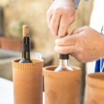 Il vino di qualità a Lana e dintorni