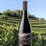 Pinot Nero Vigna Saosent: l’identità della Val di Cembra