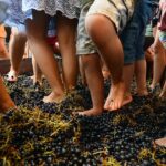 OH, BUON VINO di Franco Montaldo