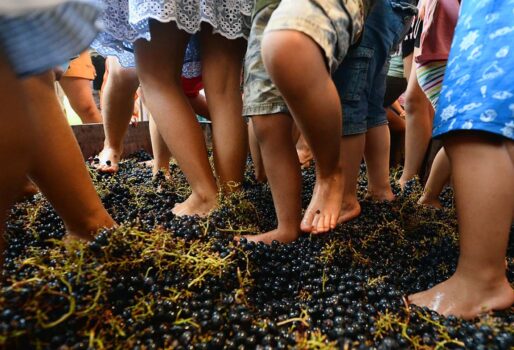 OH, BUON VINO di Franco Montaldo