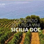 Consorzio di tutela vini Doc Sicilia: previsioni di una buona annata - Vendemmia 2020.