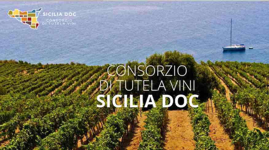 Consorzio di tutela vini Doc Sicilia: previsioni di una buona annata – Vendemmia 2020.