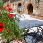 Vendemmia Experience alla Fattoria del Colle di Trequanda