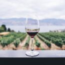 Vino toscano: l’export arriva a quota 558 milioni (anche grazie al digitale)