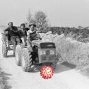 COSA FARE E COME PER IL MONDO DEL VINO DOPO COVID 19