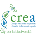 Bioeconomia: dagli scarti di patata e rucola nuovi formulati contro funghi e patogeni dei cereali