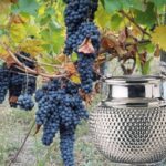 Gutturnio... Dove è finito il vero originale antico @gutturnium ? Trafugato, perso, espatriato, falsificato, distrutto per invidia…?