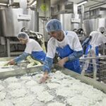 Il PecorinoToscano DOP torna sui banchi con un corso di formazione per produttori e appassionati