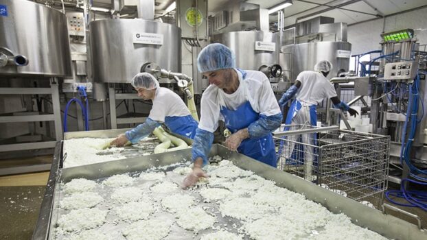 Il PecorinoToscano DOP torna sui banchi con un corso di formazione per produttori e appassionati