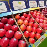 Melinda e La Trentina a a Macfrut Digital, focus su celle ipogee e nuove varietà