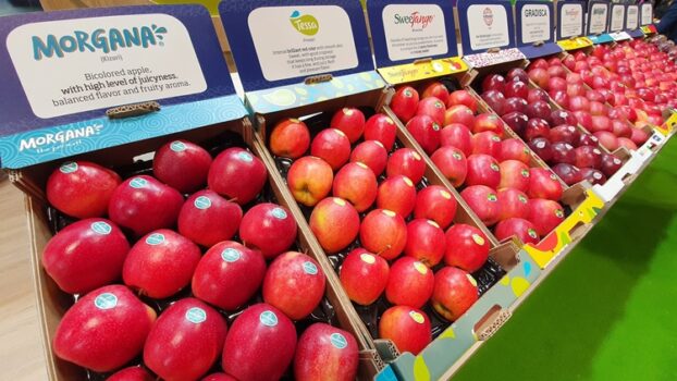 Melinda e La Trentina a a Macfrut Digital, focus su celle ipogee e nuove varietà