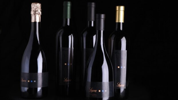 La ripartenza del Lugana parla tedesco