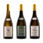 Pellegrini S.p.A. presenta la nuova immagine di Maso Cantanghel