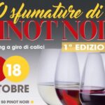 Voghera, 50 sfumature di Pinot Noir... 50 assaggi dei 200 viticoltori di Torrevilla dell'Oltrepo Pavese