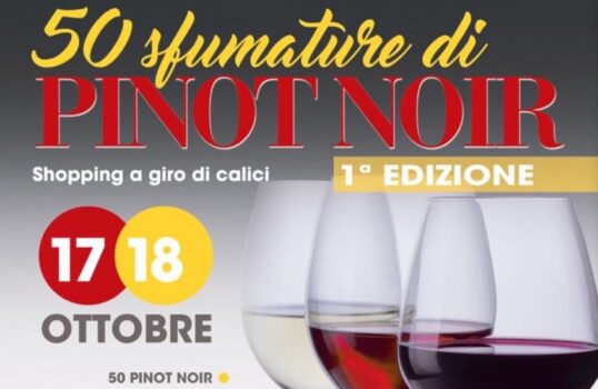 Voghera, 50 sfumature di Pinot Noir… 50 assaggi dei 200 viticoltori di Torrevilla dell’Oltrepo Pavese