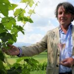 EN ROSÉ .... Il Prosecco Doc più atteso da oggi può varcare i confini nazionali