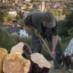 Tutto sui tartufi: regole e consigli dalla terra alla tavola by Deliveristo