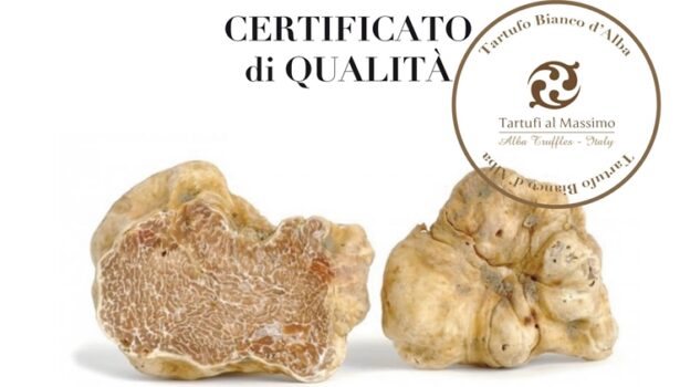 Trani come le Langhe: il tartufo che non ti aspetti. A Casa Sgarra un percorso d’eccellenza guidato dal Cavaliere dell’Ordine del Tartufo e dei vini d’Alba, Riccardo Sgarra