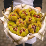 Voglia di autunno in... Alta Valtaro - Funghi e passeggiate nei boschi