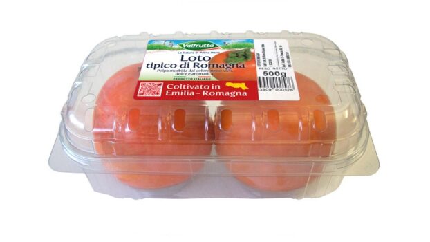 Campagna dei cachi al via, loto di Romagna e rojo brillante pronti a raggiungere il mercato nazionale ed europeo