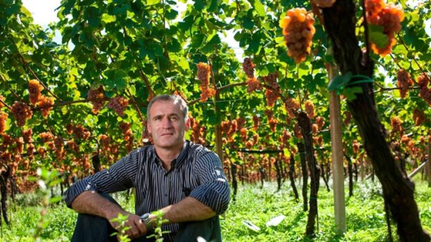 Cantina Tramin: Nussbaumer si aggiudica il Tre Bicchieri per il ventesimo anno consecutivo