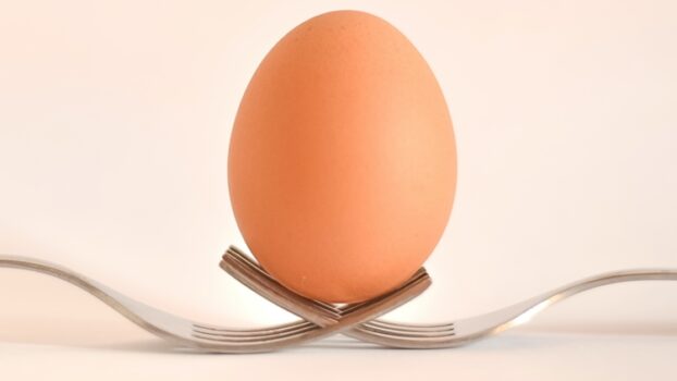 Gruppo Eurovo celebra il World Egg Day invitando gli italiani a scoprire le virtù della colazione a base di uova