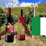 Vino Italia, sarebbe un grande marchio per tutti, di tutti noi Italiani, nel mondo